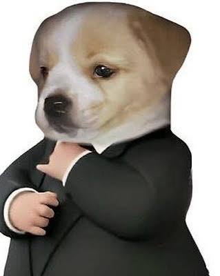 Perrito